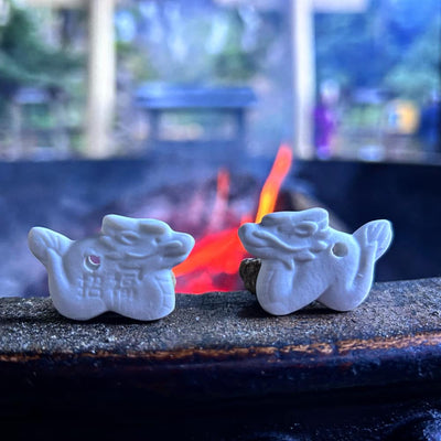2024 chinese year of the dragon charms in nachi 