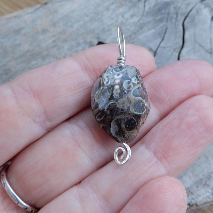 TURITELLA FOSSIL PENDANT