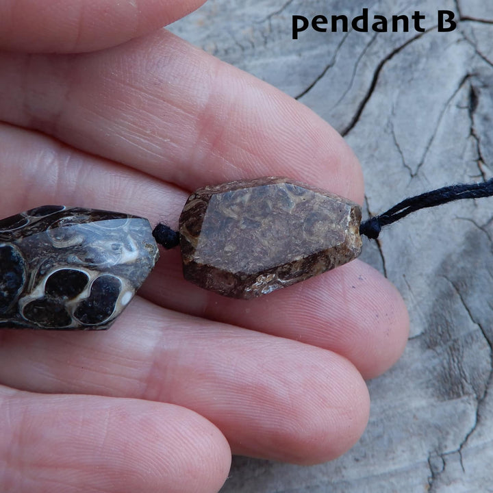 TURITELLA FOSSIL PENDANT