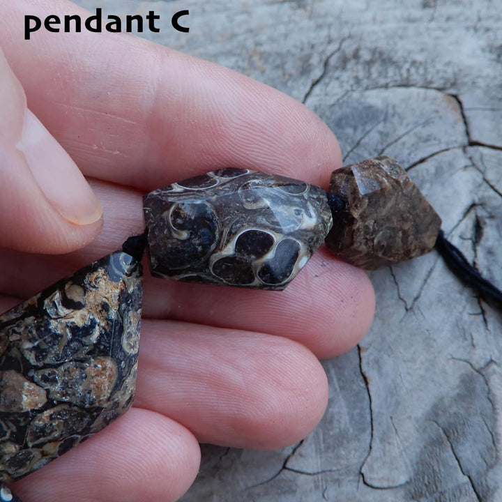 TURITELLA FOSSIL PENDANT