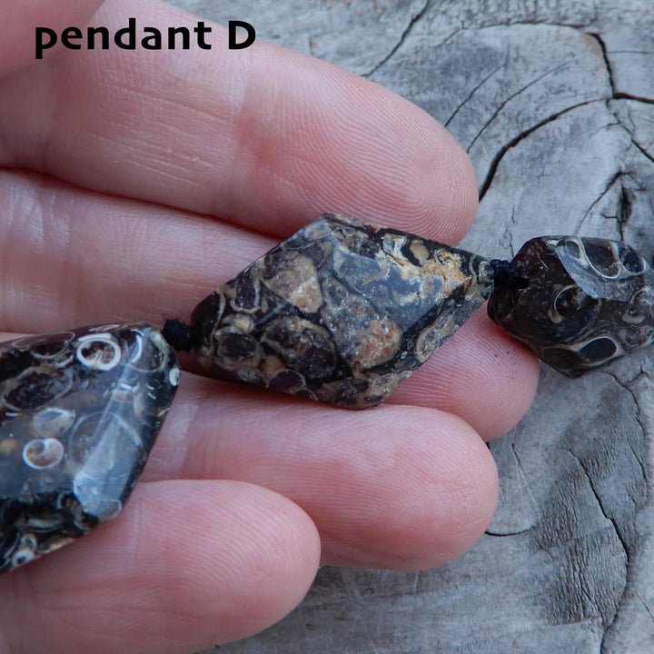 TURITELLA FOSSIL PENDANT