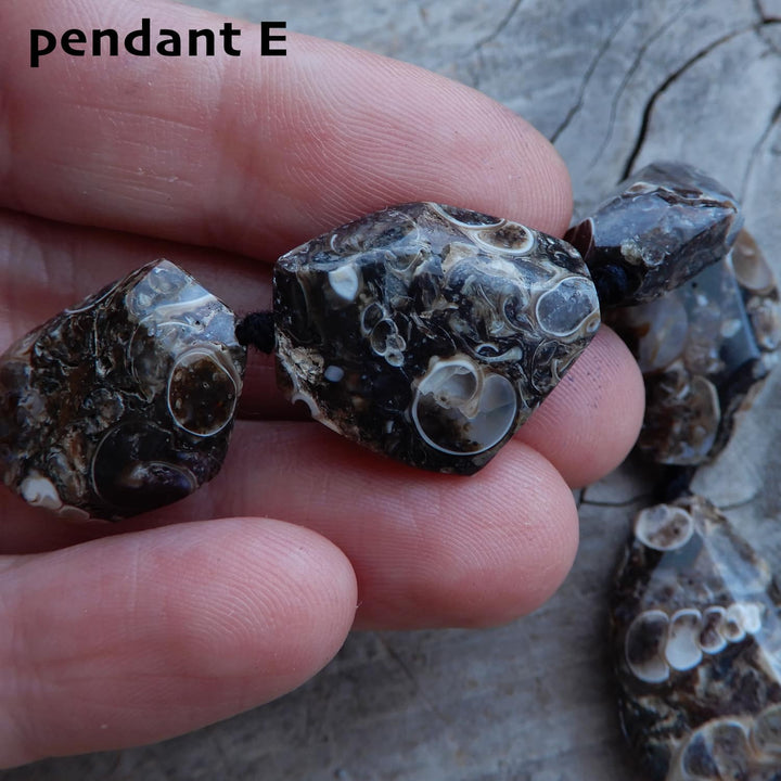 TURITELLA FOSSIL PENDANT