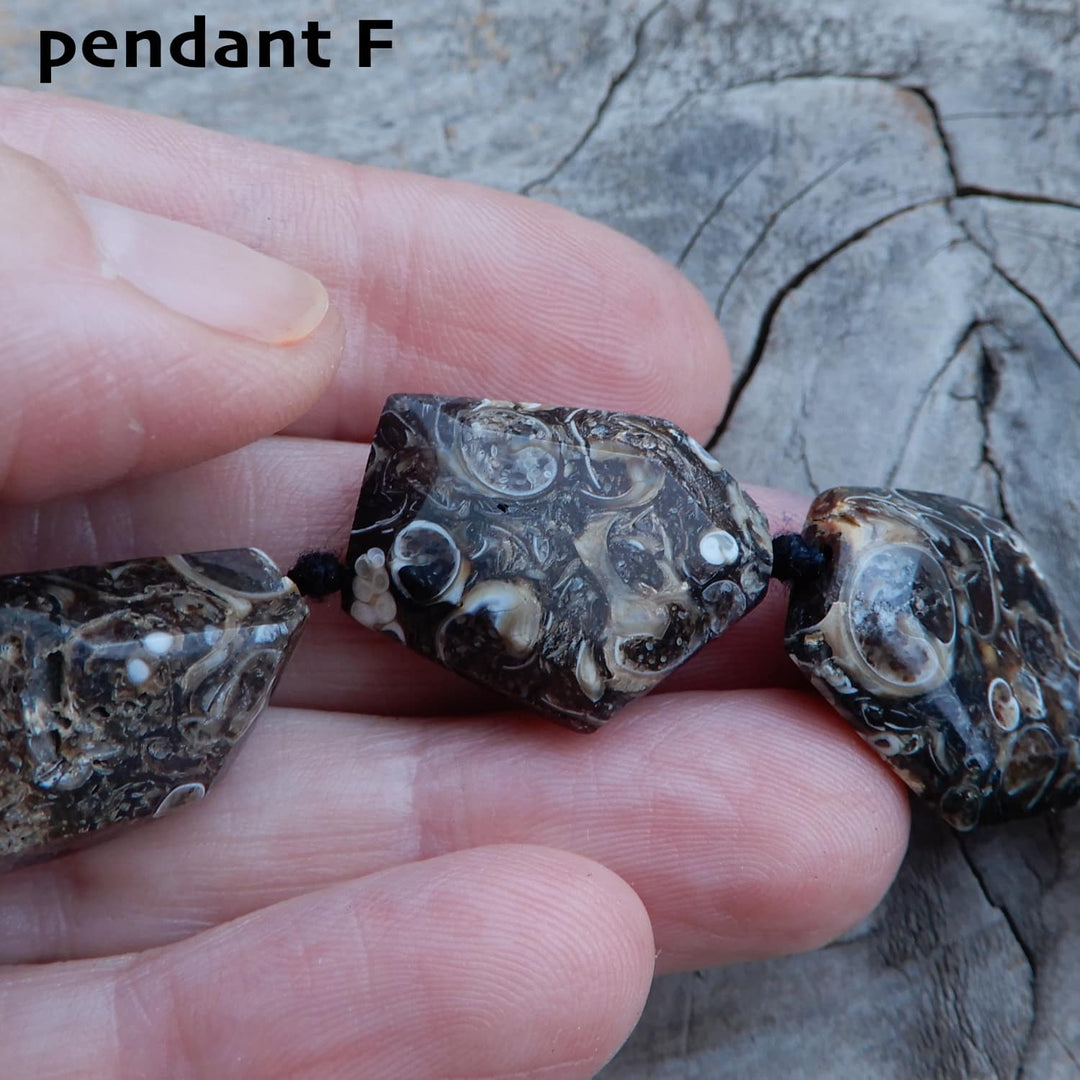 TURITELLA FOSSIL PENDANT