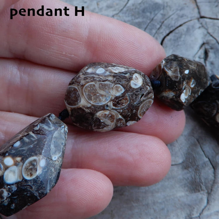 TURITELLA FOSSIL PENDANT