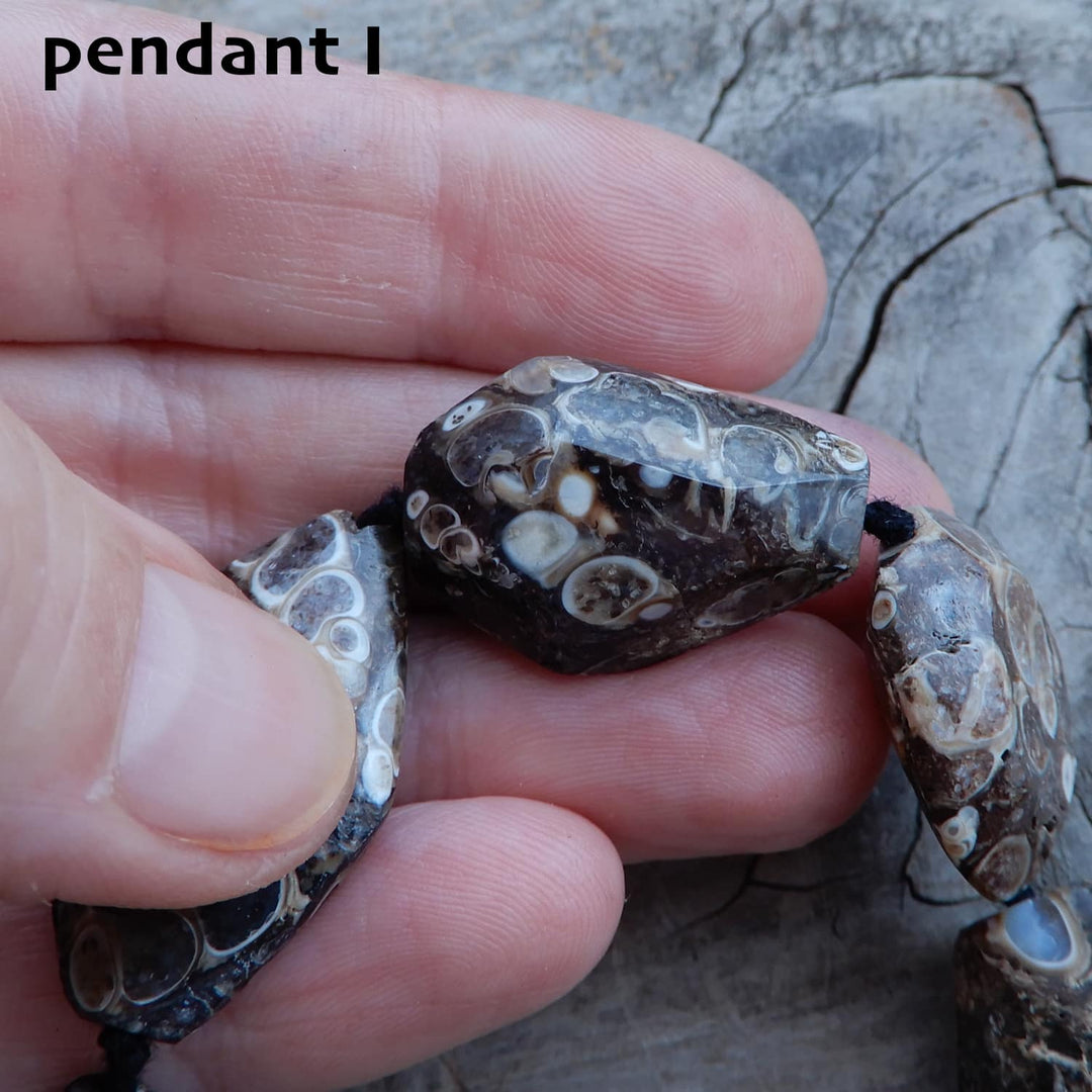 TURITELLA FOSSIL PENDANT