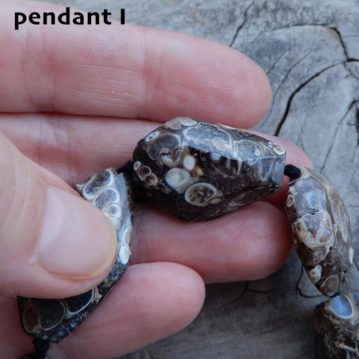 TURITELLA FOSSIL PENDANT