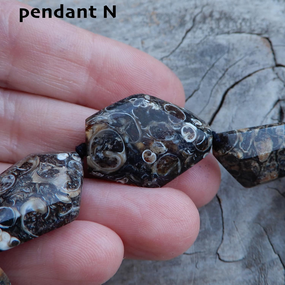 TURITELLA FOSSIL PENDANT