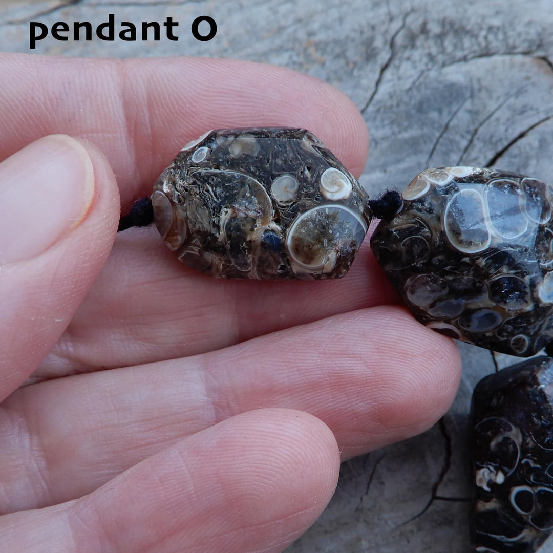 TURITELLA FOSSIL PENDANT
