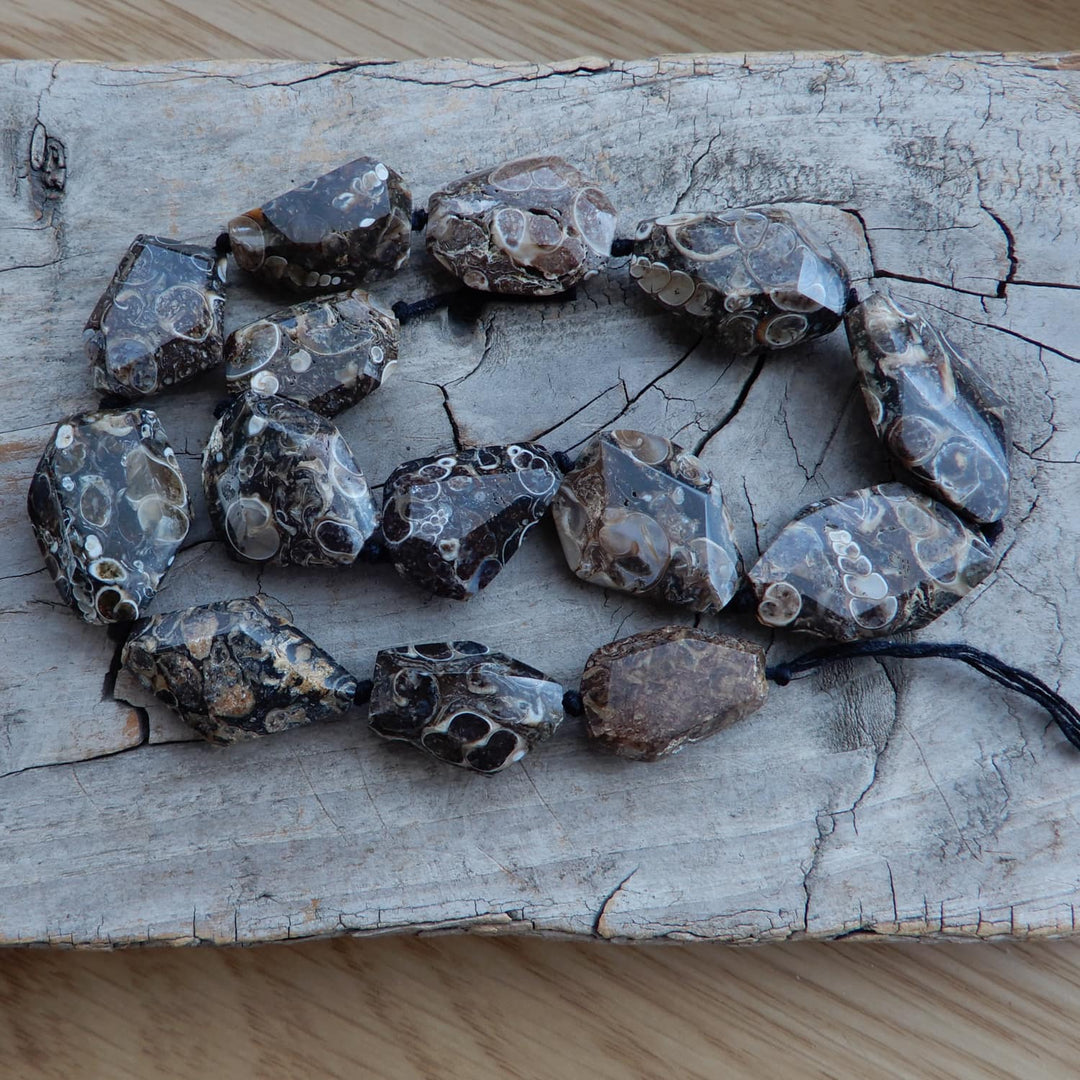 TURITELLA FOSSIL PENDANT